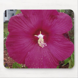 großer dunkelroter Hibiskus Mousepad