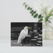 Großer Eisvogel Postkarte (Stehend Vorderseite)