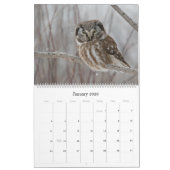 Großer Eukalyptus Kalender (Jan 2026)