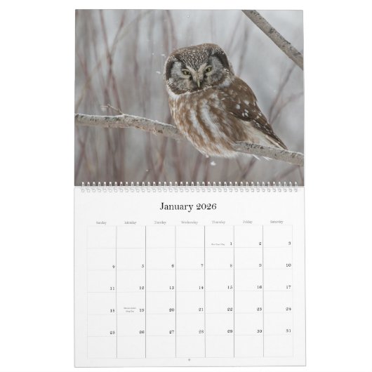 Großer Eukalyptus Kalender (Jan 2026)