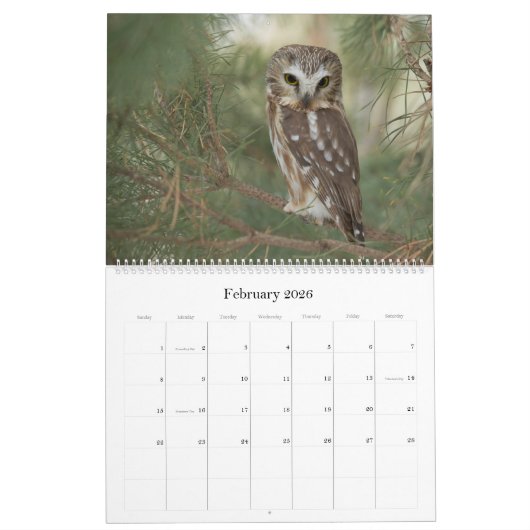 Großer Eukalyptus Kalender (Feb 2026)