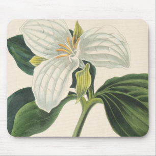 Großer geblühter Trillium Mousepad