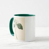 Großer geblühter Trillium Tasse (Vorderseite Links)
