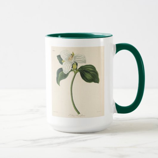 Großer geblühter Trillium Tasse (Rechts)