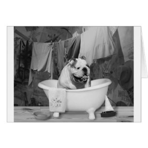 Großer Gefährte der Badzeit