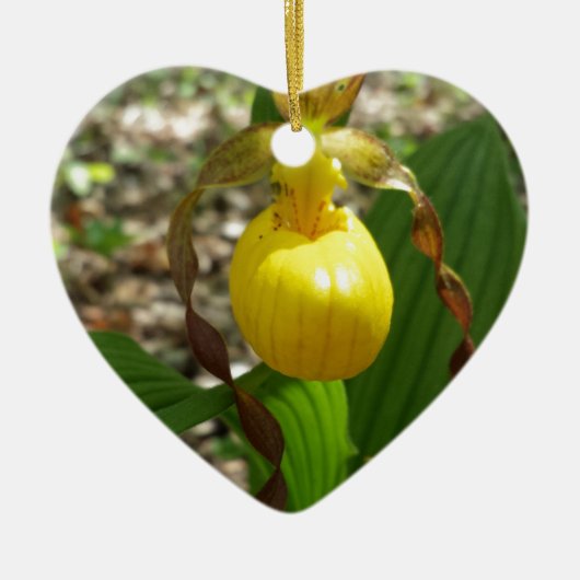 Großer gelber Frauenschuh Cypripedium Keramikornament (Vorne)