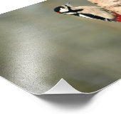 Großer Gepunkteter Specker auf einer Silberbrücke Fotodruck (Ecke)