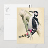 Großer Gepunkteter Specker Postkarte (Vorne/Hinten)