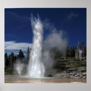 Großer Geyser und Schlot-Geyser aus Yellowstone Poster