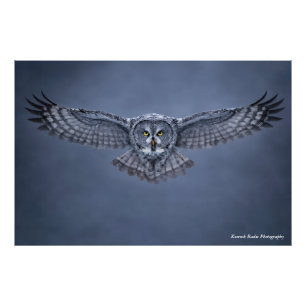 Großer Grau-Uhu-Flügelspannweite-Wildlife-Kunst-Dr Fotodruck