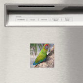 Großer grüner Ara auf einem Baum Magnet (In Situ (Geschirrspüler))