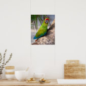 Großer grüner Ara auf einem Baum Poster (Küche)