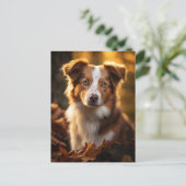 Großer Herbst Austrailian Shepherd Postkarte (Stehend Vorderseite)