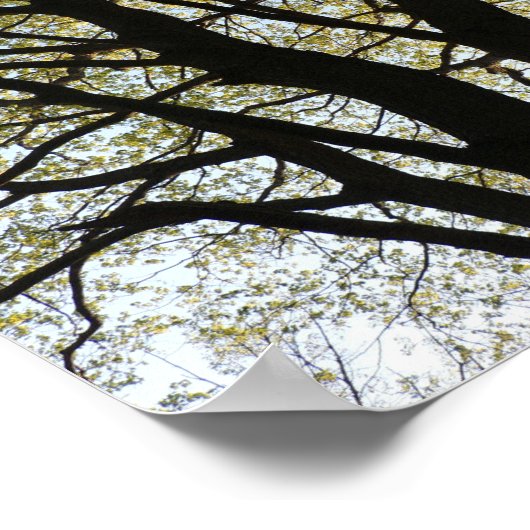 Großer hintergrundbeleuchteter Baum Poster (Ecke)