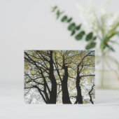 Großer hintergrundbeleuchteter Baum Postkarte (Stehend Vorderseite)