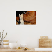 Grosser Hund und Kitten Poster (Küche)