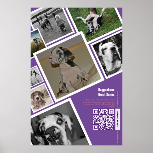 Großer Hundeverkauf Poster (Vorne)