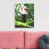 Großer Jack in der Pulpit-Blume Nah Leinwanddruck (Insitu (Wohnzimmer))