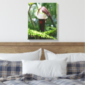 Großer Jack in der Pulpit-Blume Nah Leinwanddruck (Insitu (Schlafzimmer))