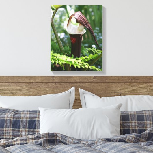Großer Jack in der Pulpit-Blume Nah Leinwanddruck (Insitu (Schlafzimmer))