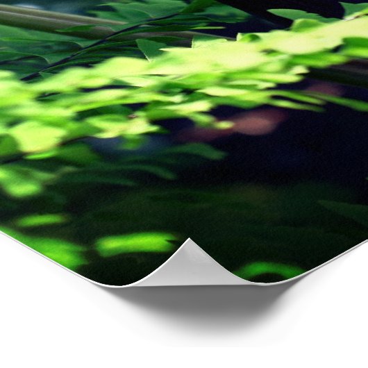 Großer Jack in der Pulpit-Blume Nah Poster (Ecke)