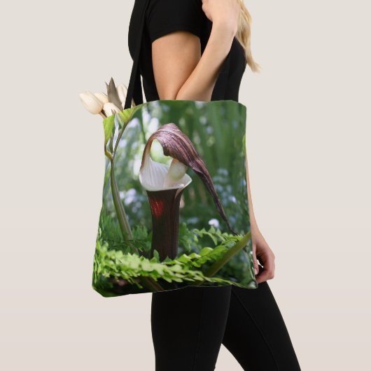 Großer Jack in der Pulpit-Blume Tasche (Von Nahem)