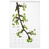 Großer japanischer Garten-Kalender Seattles Kalender (Mär 2026)