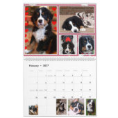 Großer Kalender der Berner Nations-Babys 2017 (Feb 2027)
