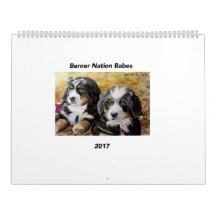 Großer Kalender der Berner Nations-Babys 2017