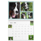 Großer Kalender der Berner Nations-Babys 2017 (Mär 2026)