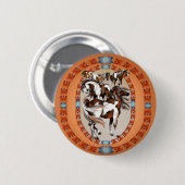Großer Kasten des Farben-Knopfes Button (Vorne & Hinten)