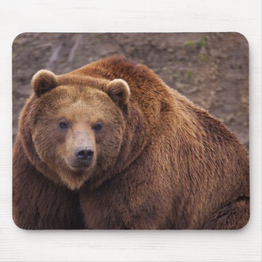 Großer Kodiak-Bär Mousepad (Vorne)
