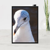 Großer Kontrast Karte (Vorderseite)