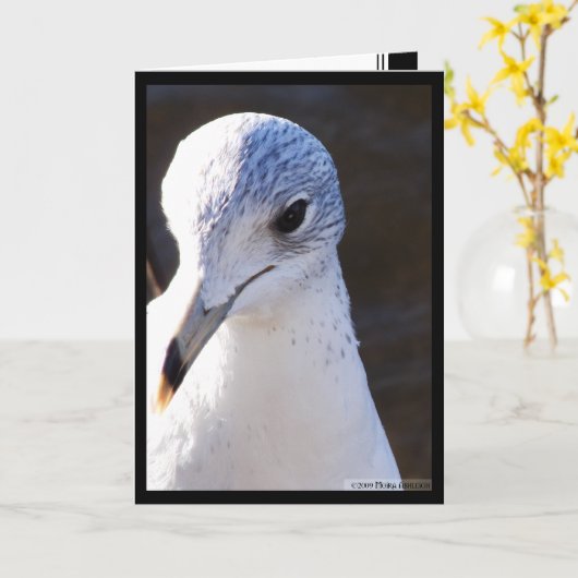 Großer Kontrast Karte (Gelbe Blume)