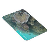 großer Korallenmagnet Magnet (Rechte Seite)