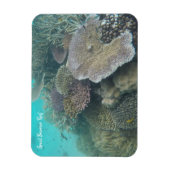 großer Korallenmagnet Magnet (Vertikal)