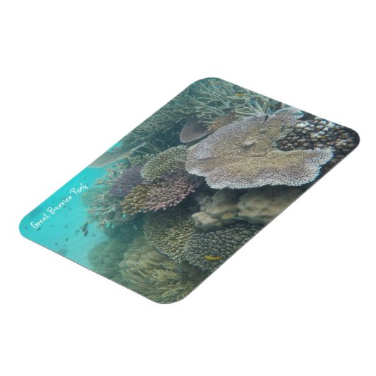 großer Korallenmagnet Magnet (Linke Seite)