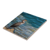 Großer Kormoran auf den Felsen Fliese (Seite)