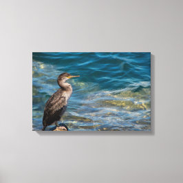 Großer Kormoran auf den Felsen Leinwanddruck