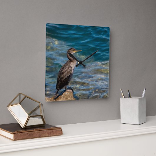 Großer Kormoran auf den Felsen Quadratische Wanduhr (Büro)