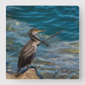 Großer Kormoran auf den Felsen Quadratische Wanduhr (Vorderseite)