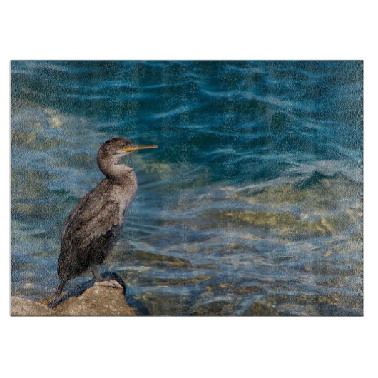 Großer Kormoran auf den Felsen Schneidebrett (Vorderseite)