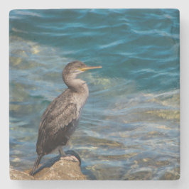 Großer Kormoran auf den Felsen Steinuntersetzer