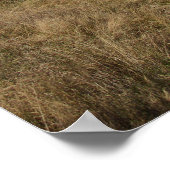 Großer Leuchtturm, Maine Poster (Ecke)