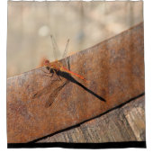 Großer Libellenduschvorhang Duschvorhang (Vorderseite)