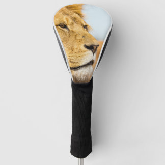 Großer Löwe, der weit weg schaut Golf Headcover