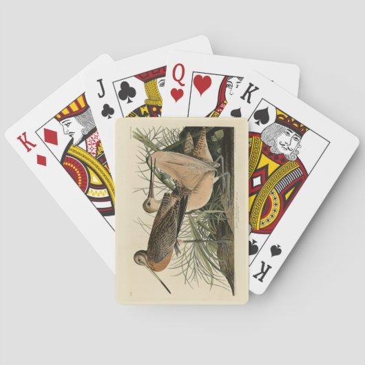 Großer Marmorschwanz - Audubons Vögel in Amerika Spielkarten (Rückseite)