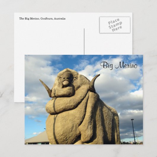 großer Merino-Widder Postkarte (Vorne/Hinten)
