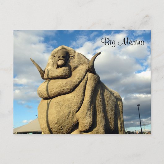 großer Merino-Widder Postkarte (Vorderseite)
