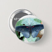 Großer Mormone-Tropischer Schmetterling Button (Vorne & Hinten)
